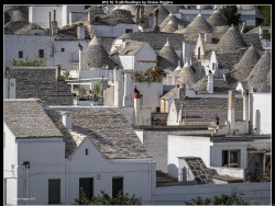 IMG020 (1) (1) (1) (1) (1) (1) (1) (1) (1) (1) (1) (1) (1) (1) (1) (1) (1) (1) (1) (1) (1) (1) (1) (1) (1) (1) (1) (1) (1) (1) (1) (1) (1) (1) (1)