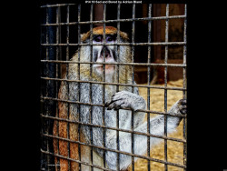 IMG020 (1) (1) (1) (1) (1) (1) (1) (1) (1) (1) (1) (1) (1) (1) (1) (1) (1) (1) (1) (1) (1) (1) (1) (1) (1) (1) (1) (1) (1) (1) (1) (1) (1) (1) (1) (1) (1) (1) (1)