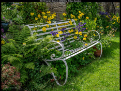 IMG020 (1) (1) (1) (1) (1) (1) (1) (1) (1) (1) (1) (1) (1) (1) (1) (1) (1) (1) (1) (1) (1) (1) (1) (1) (1) (1) (1) (1) (1) (1) (1) (1) (1) (1) (1) (1) (1) (1) (1) (1)