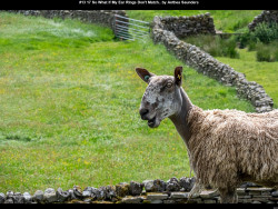 IMG020 (1) (1) (1) (1) (1) (1) (1) (1) (1) (1) (1) (1) (1) (1) (1) (1) (1) (1) (1) (1) (1) (1) (1) (1) (1) (1) (1) (1) (1) (1) (1) (1) (1) (1) (1) (1) (1) (1) (1) (1) (1) (1) (1)