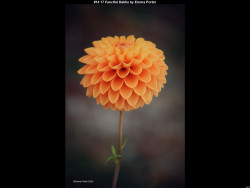 IMG020 (1) (1) (1) (1) (1) (1) (1) (1) (1) (1) (1) (1) (1) (1) (1) (1) (1) (1) (1) (1) (1) (1) (1) (1) (1) (1) (1) (1) (1) (1) (1) (1) (1) (1) (1) (1) (1) (1) (1) (1) (1) (1) (1) (1) (1)