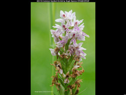 IMG020 (1) (1) (1) (1) (1) (1) (1) (1) (1) (1) (1) (1) (1) (1) (1) (1) (1) (1) (1) (1) (1) (1) (1) (1) (1) (1) (1) (1) (1) (1) (1) (1) (1) (1) (1) (1) (1) (1) (1) (1) (1) (1) (1) (1) (1) (1) (1) (1) (1)