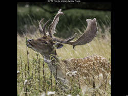 IMG020 (1) (1) (1) (1) (1) (1) (1) (1) (1) (1) (1) (1) (1) (1) (1) (1) (1) (1) (1) (1) (1) (1) (1) (1) (1) (1) (1) (1) (1) (1) (1) (1) (1) (1) (1) (1) (1) (1) (1) (1) (1) (1) (1) (1) (1) (1) (1) (1) (1) (1) (1)