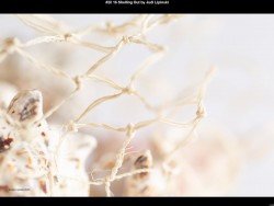 IMG021 (1) (1) (1) (1) (1) (1) (1) (1)