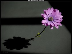 IMG021 (1) (1) (1) (1) (1) (1) (1) (1) (1) (1) (1) (1) (1)