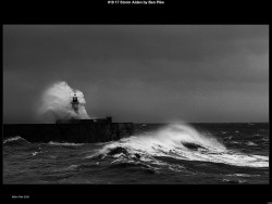 IMG021 (1) (1) (1) (1) (1) (1) (1) (1) (1) (1) (1) (1) (1) (1)