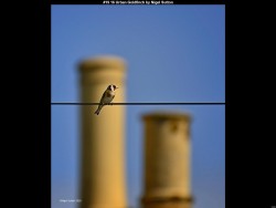 IMG021 (1) (1) (1) (1) (1) (1) (1) (1) (1) (1) (1) (1) (1) (1) (1)