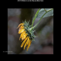 IMG021 (1) (1) (1) (1) (1) (1) (1) (1) (1) (1) (1) (1) (1) (1) (1) (1) (1) (1)