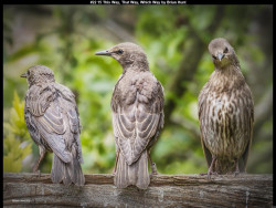 IMG021 (1) (1) (1) (1) (1) (1) (1) (1) (1) (1) (1) (1) (1) (1) (1) (1) (1) (1) (1) (1)