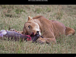 IMG021 (1) (1) (1) (1) (1) (1) (1) (1) (1) (1) (1) (1) (1) (1) (1) (1) (1) (1) (1) (1) (1) (1)