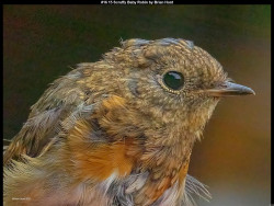 IMG021 (1) (1) (1) (1) (1) (1) (1) (1) (1) (1) (1) (1) (1) (1) (1) (1) (1) (1) (1) (1) (1) (1) (1)