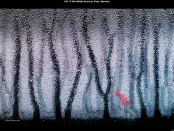 IMG021 (1) (1) (1) (1) (1) (1) (1) (1) (1) (1) (1) (1) (1) (1) (1) (1) (1) (1) (1) (1) (1) (1) (1) (1) (1)