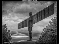 IMG021 (1) (1) (1) (1) (1) (1) (1) (1) (1) (1) (1) (1) (1) (1) (1) (1) (1) (1) (1) (1) (1) (1) (1) (1) (1) (1)