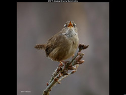 IMG021 (1) (1) (1) (1) (1) (1) (1) (1) (1) (1) (1) (1) (1) (1) (1) (1) (1) (1) (1) (1) (1) (1) (1) (1) (1) (1) (1) (1)