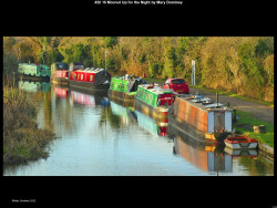 IMG021 (1) (1) (1) (1) (1) (1) (1) (1) (1) (1) (1) (1) (1) (1) (1) (1) (1) (1) (1) (1) (1) (1) (1) (1) (1) (1) (1) (1) (1) (1) (1) (1)