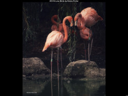 IMG021 (1) (1) (1) (1) (1) (1) (1) (1) (1) (1) (1) (1) (1) (1) (1) (1) (1) (1) (1) (1) (1) (1) (1) (1) (1) (1) (1) (1) (1) (1) (1) (1) (1) (1) (1)