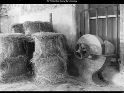 IMG021 (1) (1) (1) (1) (1) (1) (1) (1) (1) (1) (1) (1) (1) (1) (1) (1) (1) (1) (1) (1) (1) (1) (1) (1) (1) (1) (1) (1) (1) (1) (1) (1) (1) (1) (1) (1) (1)