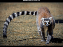 IMG021 (1) (1) (1) (1) (1) (1) (1) (1) (1) (1) (1) (1) (1) (1) (1) (1) (1) (1) (1) (1) (1) (1) (1) (1) (1) (1) (1) (1) (1) (1) (1) (1) (1) (1) (1) (1) (1) (1) (1)