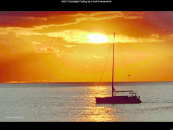 IMG021 (1) (1) (1) (1) (1) (1) (1) (1) (1) (1) (1) (1) (1) (1) (1) (1) (1) (1) (1) (1) (1) (1) (1) (1) (1) (1) (1) (1) (1) (1) (1) (1) (1) (1) (1) (1) (1) (1) (1) (1) (1)