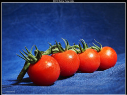 IMG021 (1) (1) (1) (1) (1) (1) (1) (1) (1) (1) (1) (1) (1) (1) (1) (1) (1) (1) (1) (1) (1) (1) (1) (1) (1) (1) (1) (1) (1) (1) (1) (1) (1) (1) (1) (1) (1) (1) (1) (1) (1) (1) (1) (1)