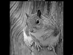 IMG021 (1) (1) (1) (1) (1) (1) (1) (1) (1) (1) (1) (1) (1) (1) (1) (1) (1) (1) (1) (1) (1) (1) (1) (1) (1) (1) (1) (1) (1) (1) (1) (1) (1) (1) (1) (1) (1) (1) (1) (1) (1) (1) (1) (1) (1) (1)