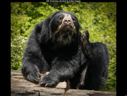 IMG021 (1) (1) (1) (1) (1) (1) (1) (1) (1) (1) (1) (1) (1) (1) (1) (1) (1) (1) (1) (1) (1) (1) (1) (1) (1) (1) (1) (1) (1) (1) (1) (1) (1) (1) (1) (1) (1) (1) (1) (1) (1) (1) (1) (1) (1) (1) (1) (1) (1)