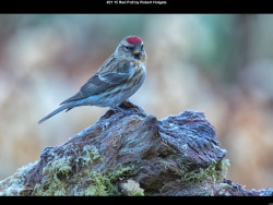 IMG021 (1) (1) (1) (1) (1) (1) (1) (1) (1) (1) (1) (1) (1) (1) (1) (1) (1) (1) (1) (1) (1) (1) (1) (1) (1) (1) (1) (1) (1) (1) (1) (1) (1) (1) (1) (1) (1) (1) (1) (1) (1) (1) (1) (1) (1) (1) (1) (1) (1) (1) (1) (1)