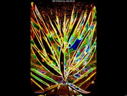 IMG022 (1) (1) (1) (1) (1) (1) (1) (1)