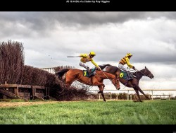 IMG022 (1) (1) (1) (1) (1) (1) (1) (1) (1) (1) (1) (1)