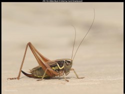 IMG022 (1) (1) (1) (1) (1) (1) (1) (1) (1) (1) (1) (1) (1)