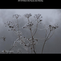 IMG022 (1) (1) (1) (1) (1) (1) (1) (1) (1) (1) (1) (1) (1) (1) (1) (1) (1) (1)