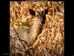 IMG022 (1) (1) (1) (1) (1) (1) (1) (1) (1) (1) (1) (1) (1) (1) (1) (1) (1) (1) (1) (1)