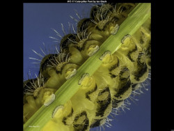 IMG022 (1) (1) (1) (1) (1) (1) (1) (1) (1) (1) (1) (1) (1) (1) (1) (1) (1) (1) (1) (1) (1) (1) (1) (1) (1)