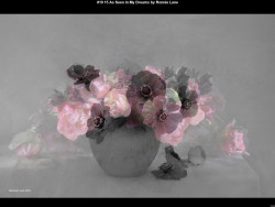 IMG022 (1) (1) (1) (1) (1) (1) (1) (1) (1) (1) (1) (1) (1) (1) (1) (1) (1) (1) (1) (1) (1) (1) (1) (1) (1) (1) (1) (1)