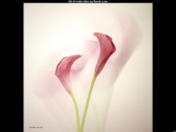 IMG022 (1) (1) (1) (1) (1) (1) (1) (1) (1) (1) (1) (1) (1) (1) (1) (1) (1) (1) (1) (1) (1) (1) (1) (1) (1) (1) (1) (1) (1) (1) (1) (1)