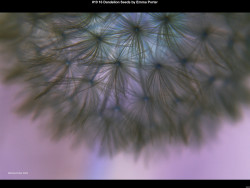 IMG022 (1) (1) (1) (1) (1) (1) (1) (1) (1) (1) (1) (1) (1) (1) (1) (1) (1) (1) (1) (1) (1) (1) (1) (1) (1) (1) (1) (1) (1) (1) (1) (1) (1) (1) (1)