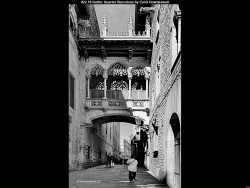 IMG022 (1) (1) (1) (1) (1) (1) (1) (1) (1) (1) (1) (1) (1) (1) (1) (1) (1) (1) (1) (1) (1) (1) (1) (1) (1) (1) (1) (1) (1) (1) (1) (1) (1) (1) (1) (1)