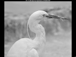 IMG022 (1) (1) (1) (1) (1) (1) (1) (1) (1) (1) (1) (1) (1) (1) (1) (1) (1) (1) (1) (1) (1) (1) (1) (1) (1) (1) (1) (1) (1) (1) (1) (1) (1) (1) (1) (1) (1)