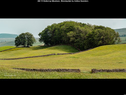 IMG022 (1) (1) (1) (1) (1) (1) (1) (1) (1) (1) (1) (1) (1) (1) (1) (1) (1) (1) (1) (1) (1) (1) (1) (1) (1) (1) (1) (1) (1) (1) (1) (1) (1) (1) (1) (1) (1) (1) (1) (1) (1)