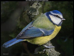 IMG022 (1) (1) (1) (1) (1) (1) (1) (1) (1) (1) (1) (1) (1) (1) (1) (1) (1) (1) (1) (1) (1) (1) (1) (1) (1) (1) (1) (1) (1) (1) (1) (1) (1) (1) (1) (1) (1) (1) (1) (1) (1) (1) (1)