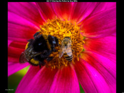 IMG022 (1) (1) (1) (1) (1) (1) (1) (1) (1) (1) (1) (1) (1) (1) (1) (1) (1) (1) (1) (1) (1) (1) (1) (1) (1) (1) (1) (1) (1) (1) (1) (1) (1) (1) (1) (1) (1) (1) (1) (1) (1) (1) (1) (1)