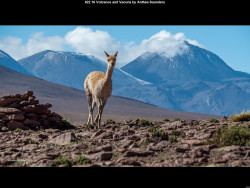 IMG022 (1) (1) (1) (1) (1) (1) (1) (1) (1) (1) (1) (1) (1) (1) (1) (1) (1) (1) (1) (1) (1) (1) (1) (1) (1) (1) (1) (1) (1) (1) (1) (1) (1) (1) (1) (1) (1) (1) (1) (1) (1) (1) (1) (1) (1)