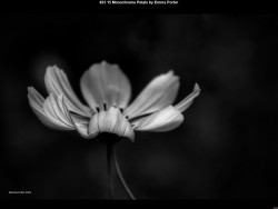 IMG022 (1) (1) (1) (1) (1) (1) (1) (1) (1) (1) (1) (1) (1) (1) (1) (1) (1) (1) (1) (1) (1) (1) (1) (1) (1) (1) (1) (1) (1) (1) (1) (1) (1) (1) (1) (1) (1) (1) (1) (1) (1) (1) (1) (1) (1) (1) (1) (1) (1)