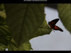 IMG022 (1) (1) (1) (1) (1) (1) (1) (1) (1) (1) (1) (1) (1) (1) (1) (1) (1) (1) (1) (1) (1) (1) (1) (1) (1) (1) (1) (1) (1) (1) (1) (1) (1) (1) (1) (1) (1) (1) (1) (1) (1) (1) (1) (1) (1) (1) (1) (1) (1) (1) (1) (1)