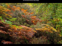 IMG023 (1) (1) (1) (1) (1) (1)