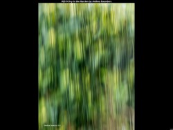 IMG023 (1) (1) (1) (1) (1) (1) (1) (1)