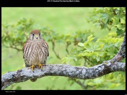 IMG023 (1) (1) (1) (1) (1) (1) (1) (1) (1)