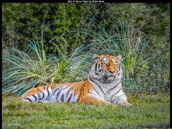 IMG023 (1) (1) (1) (1) (1) (1) (1) (1) (1) (1)