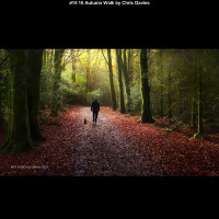 IMG023 (1) (1) (1) (1) (1) (1) (1) (1) (1) (1) (1) (1) (1) (1) (1) (1) (1) (1)