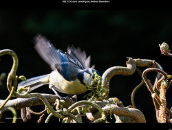 IMG023 (1) (1) (1) (1) (1) (1) (1) (1) (1) (1) (1) (1) (1) (1) (1) (1) (1) (1) (1) (1)